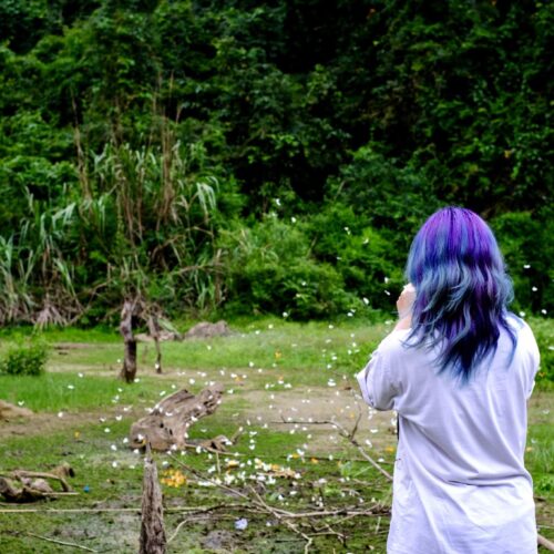 Kinh nghiệm “săn” mùa bướm rừng Cúc Phương: Thời điểm, tọa độ và lưu ý sống ảo