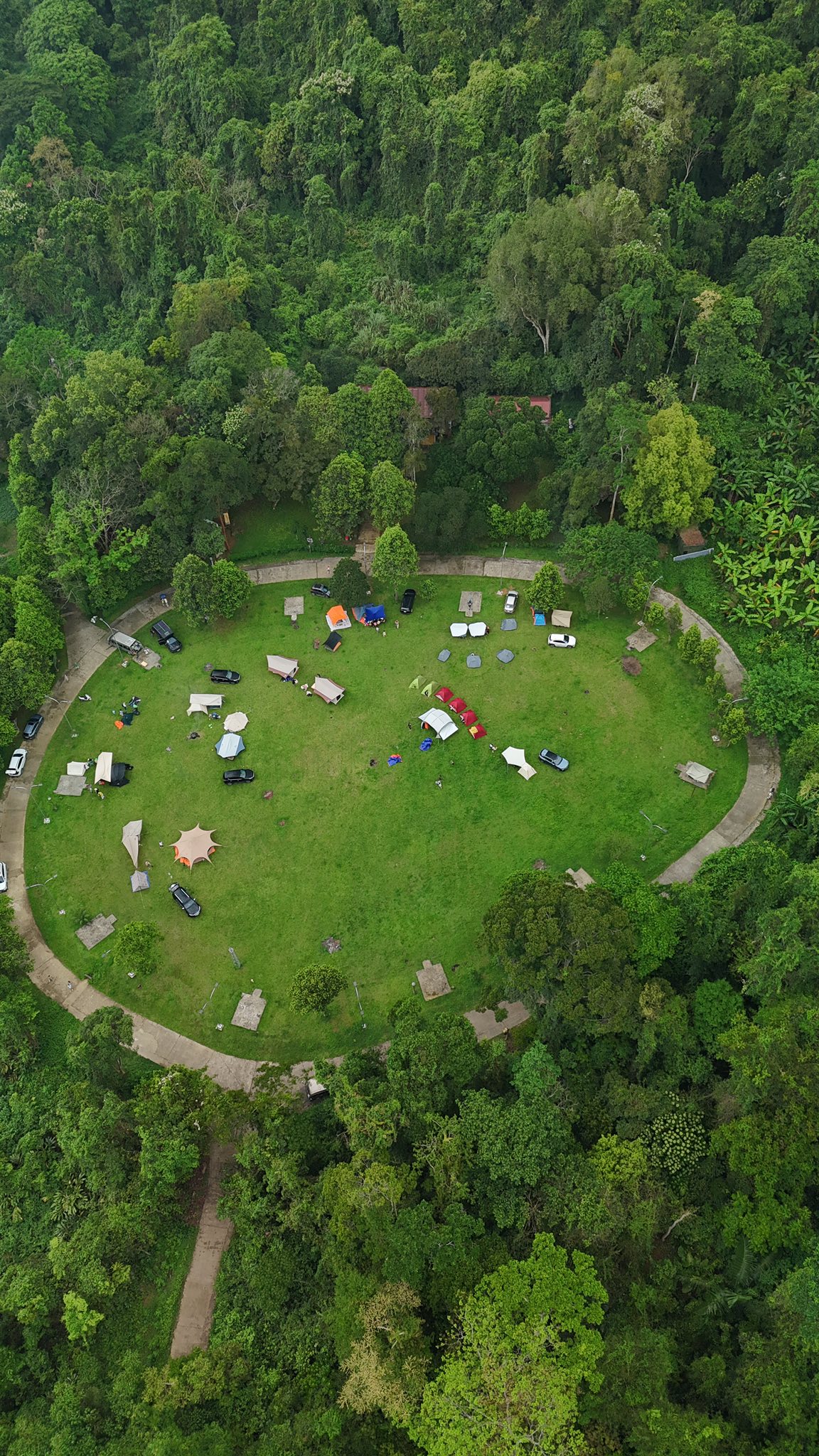 Giải mã sức hút của Tour Cúc Phương về đêm: Lạc vào thế giới đom đóm và động vật hoang dã